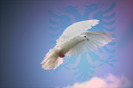 advertisement advertisement